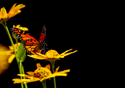 东京热精品一区二区三区 东京热精品一区二区三区